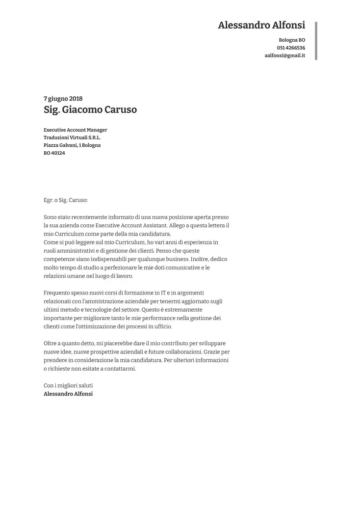 CV template Grigio esecutivo