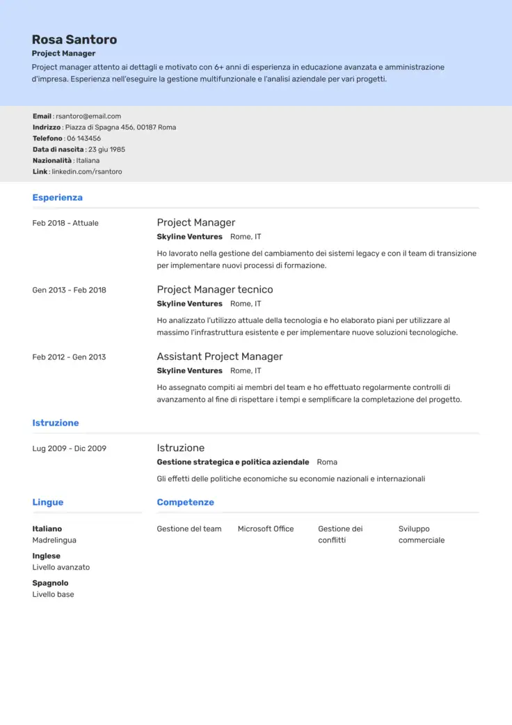 CV template Omsk