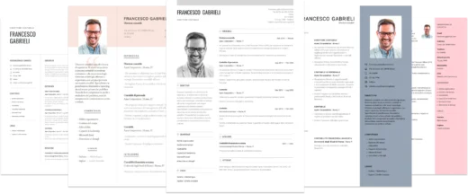 grid modelli curriculum